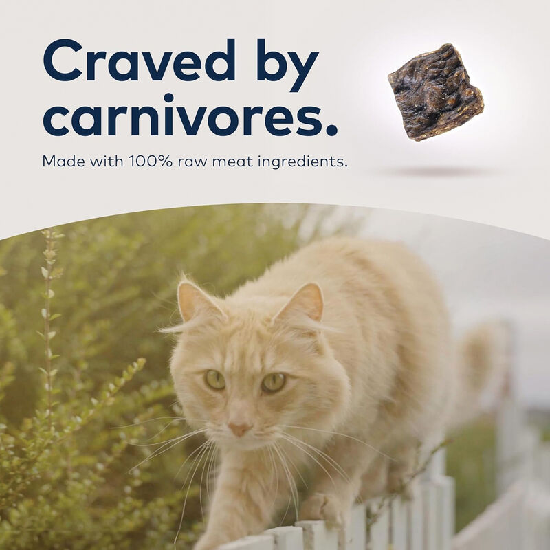ZIWI, Feline - Air Dried Beef image number null